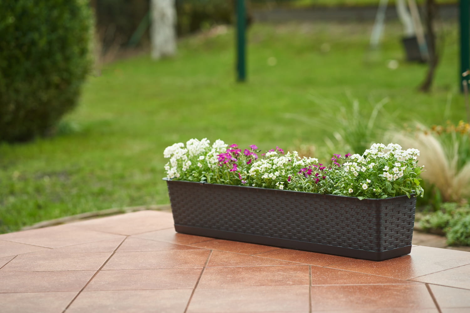 Blumenübertopf groß – stilvolle Übertöpfe für eindrucksvolle Zimmerpflanzen
